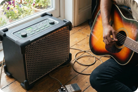 Guitar & Mic Inputs